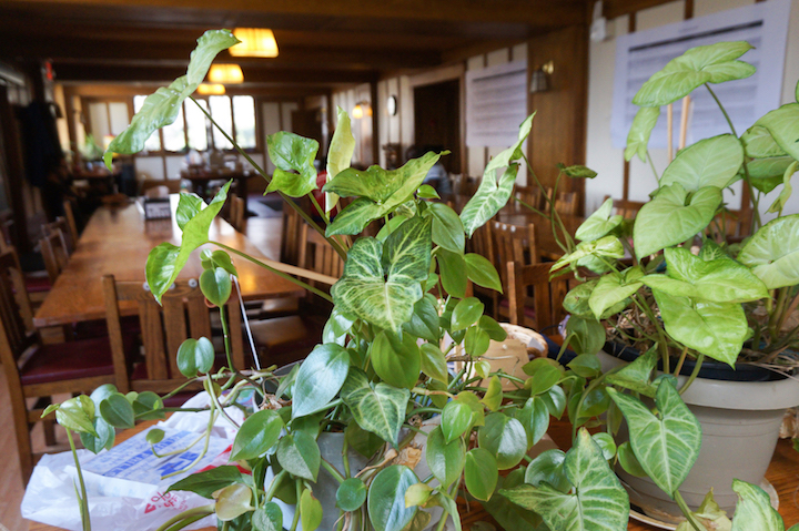 Image of dining room