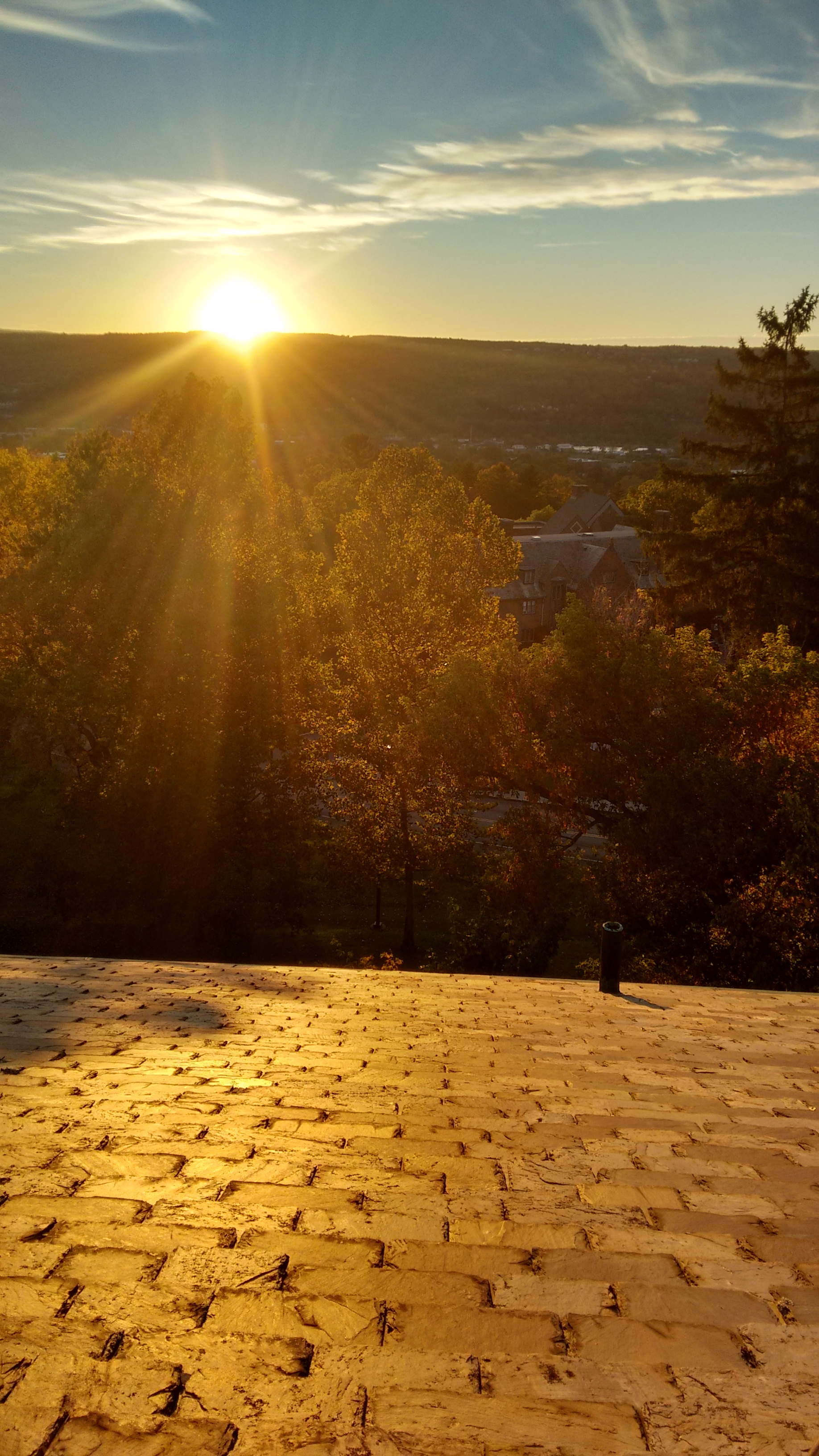 Image of roof view